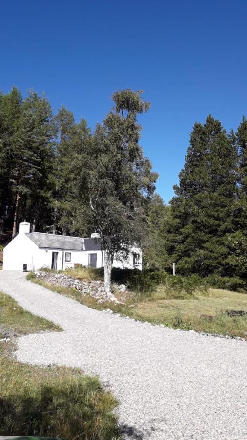 Torgoyle Cottage อินเวอร์เนส ภายนอก รูปภาพ